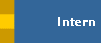 Intern